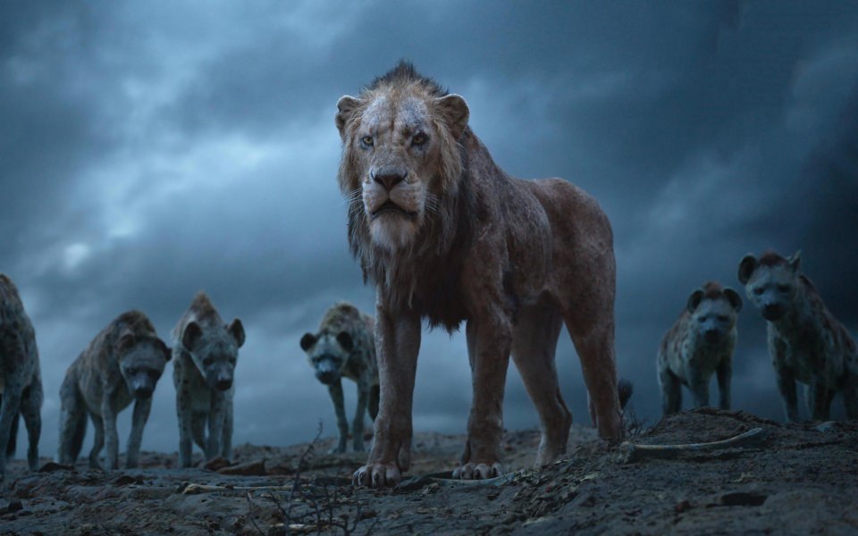 Download Scar The Lion King 2019 HD Movies 4k wallpaper