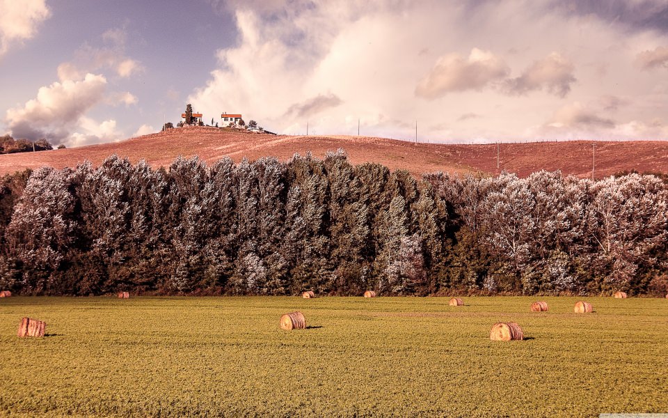 Download Tuscany Countryside Minimalist 4K HD wallpaper