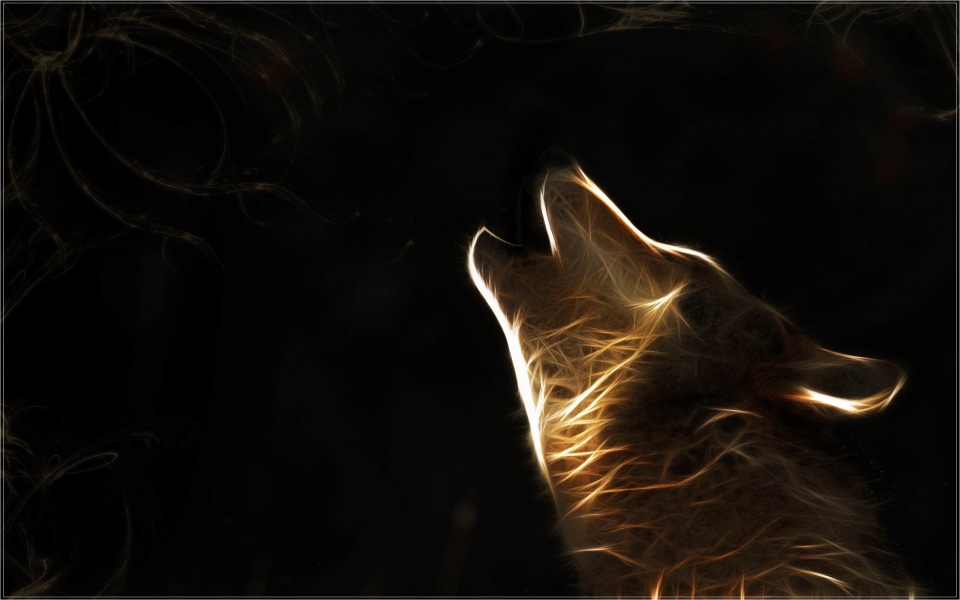 Download Wolf 4K HD 2020 iPhone Mac Desktop Android wallpaper