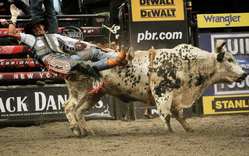 Download 4K Pictures Bull Riding wallpaper