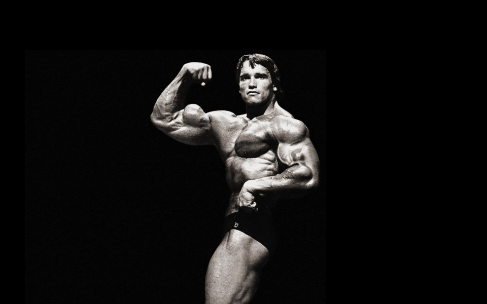 Download Arnold Schwarzenegger 8K HD 2020 iPhone PC Photos Pictures Backgrounds Download wallpaper