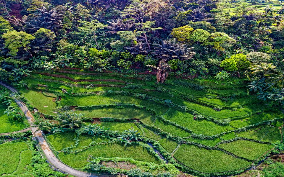Download Banaue Rice Terraces 4K HD wallpaper