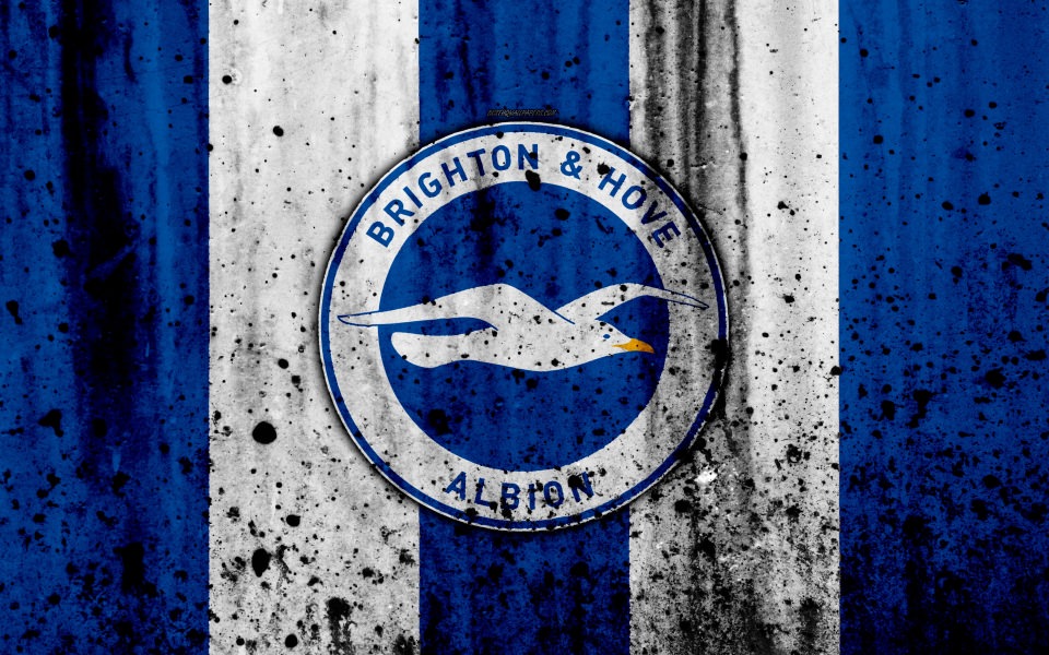 Download Brighton And Hove Albion Desktop Wallpaper wallpaper