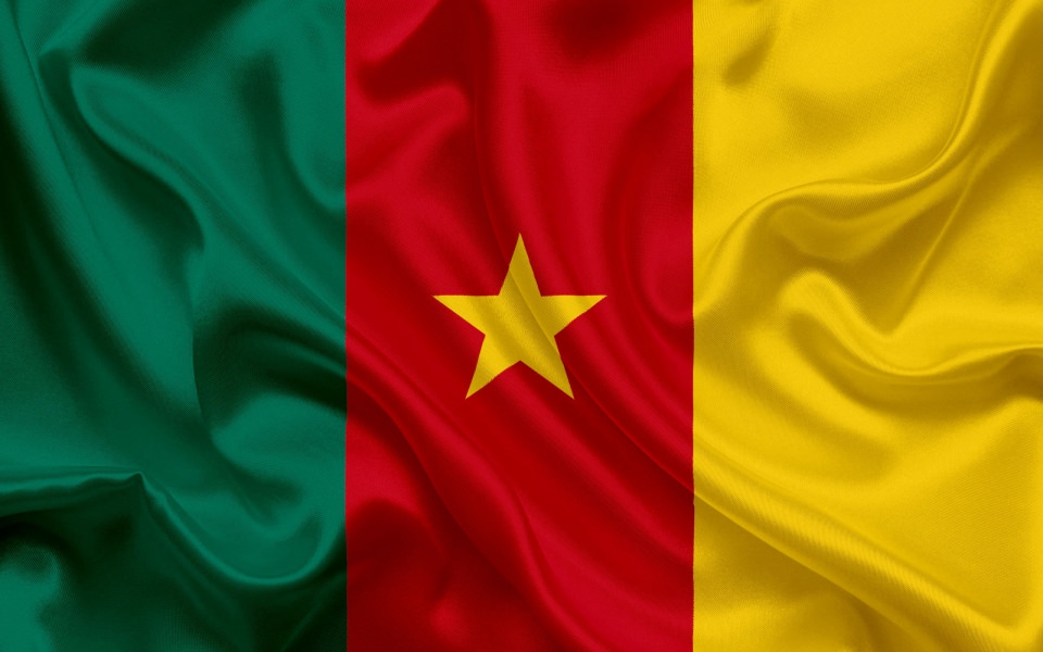 Download Cameroon flag Africa wallpaper