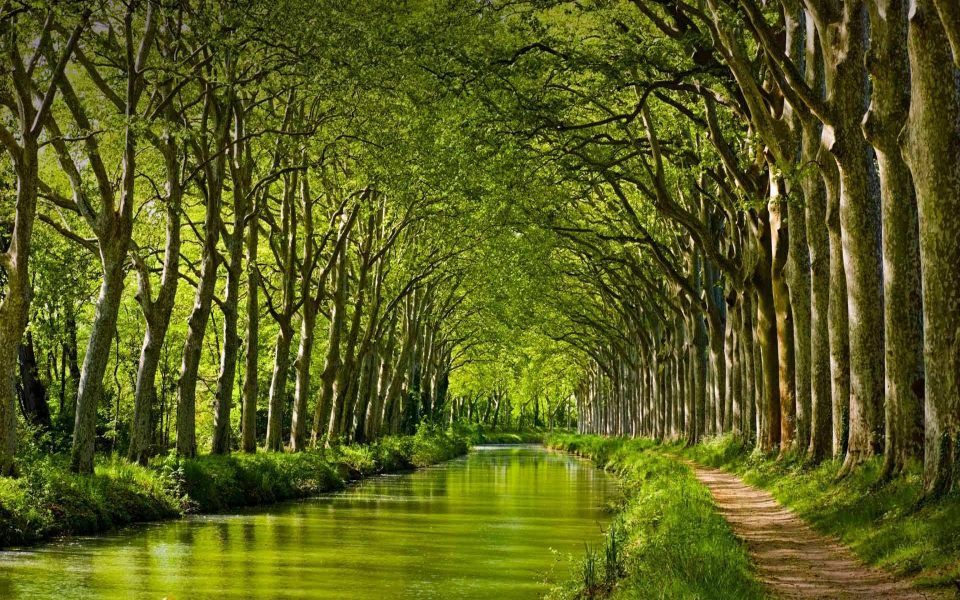 Download Canal Du Midi Toulouse 4K iPhone HD wallpaper