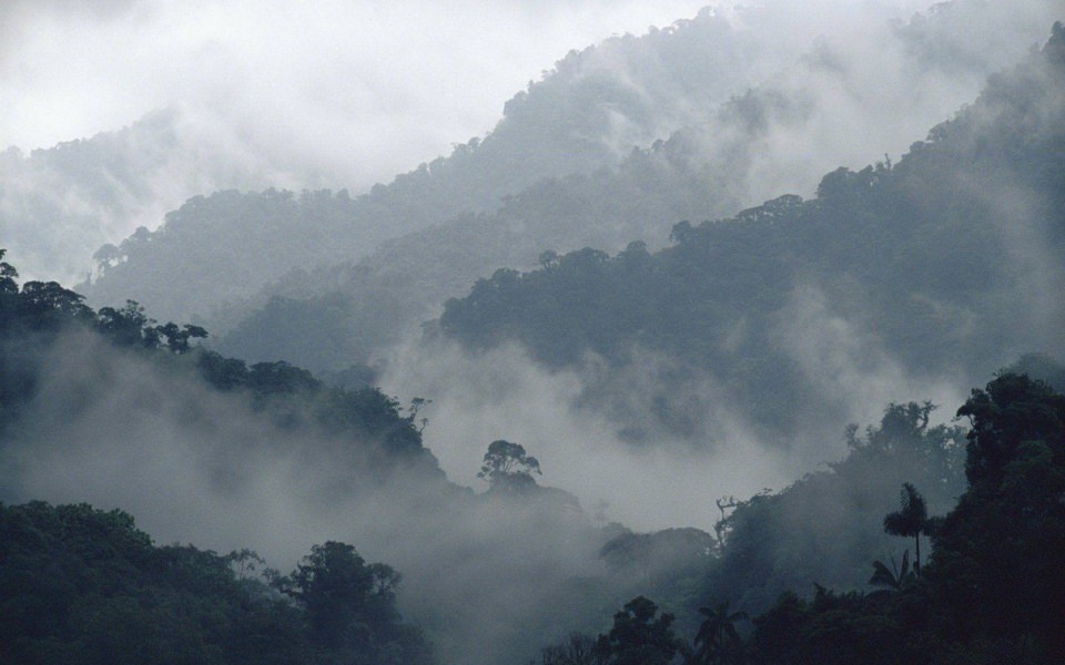 Download Costa Rica Cloud Forest 4K wallpaper