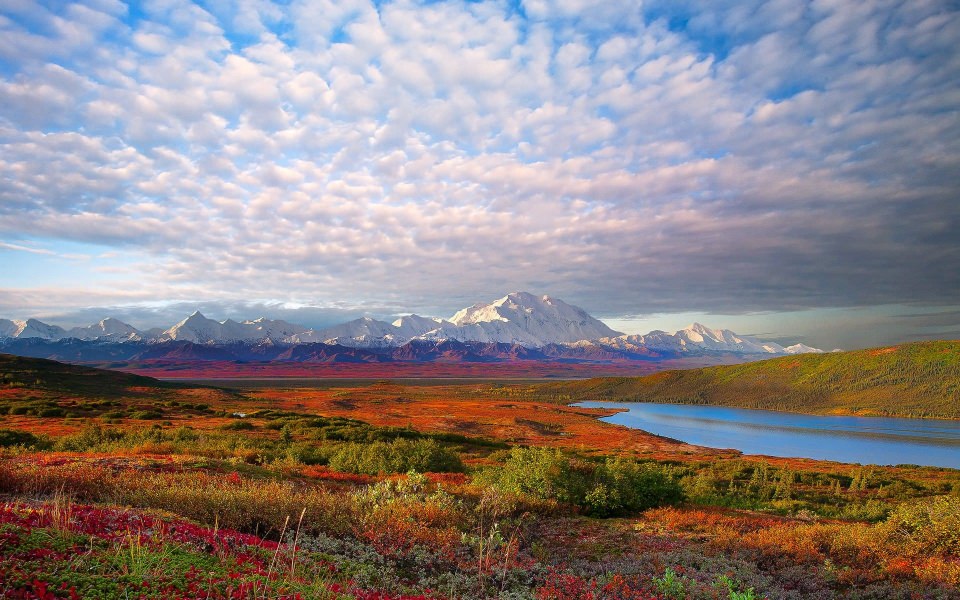 Download Denali National Park And Preserve Wallpaper iPhone 8 Pictures HD For Android Desktop Background Free Download wallpaper