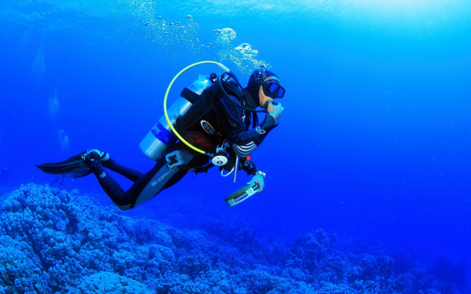 Download Diving HD 4K wallpaper