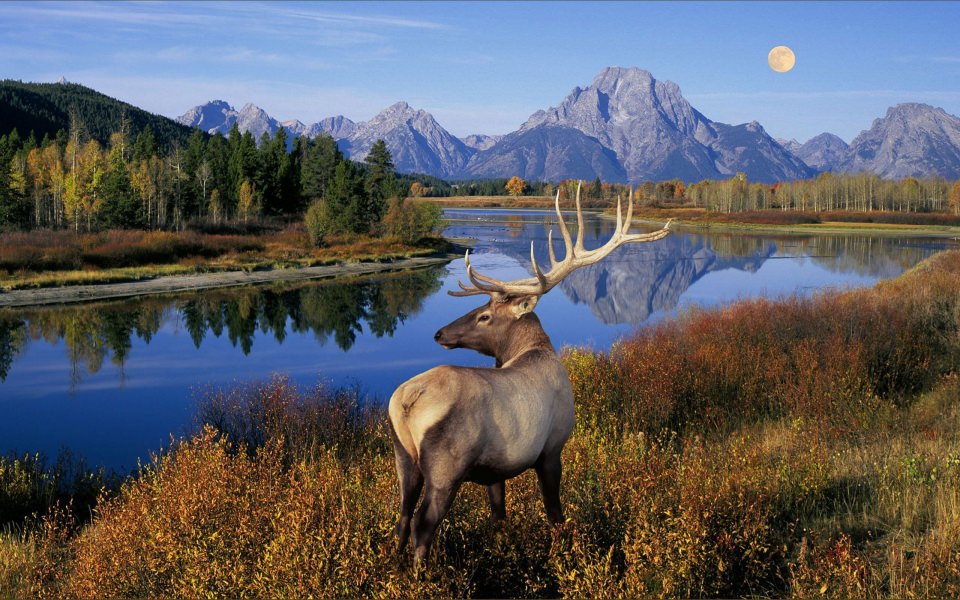 Download Grand Teton National Park 4K HD 2020 Mobile wallpaper