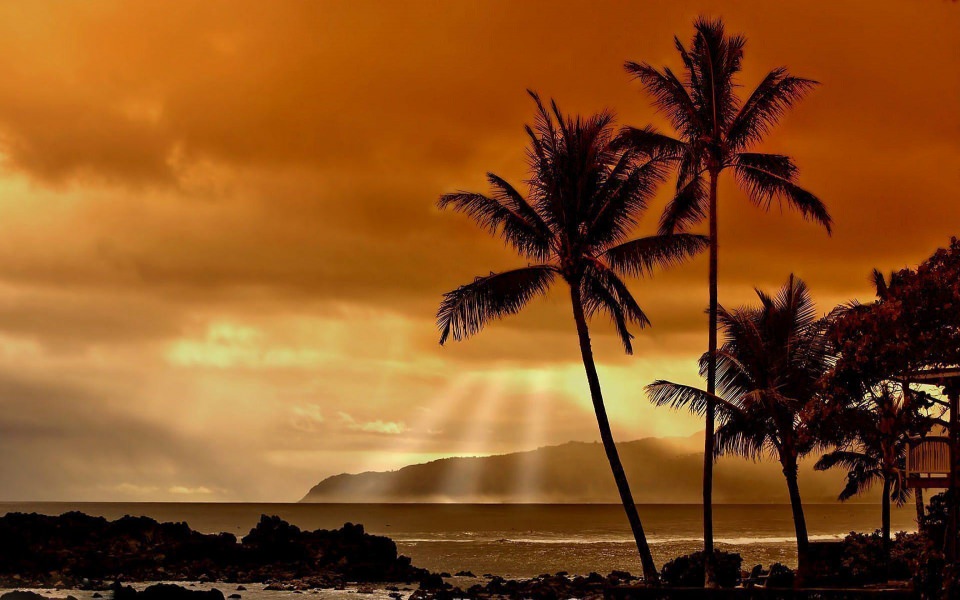 Download Hawaiian Sunset HD 4K Widescreen Photos 1920x1080 Images wallpaper