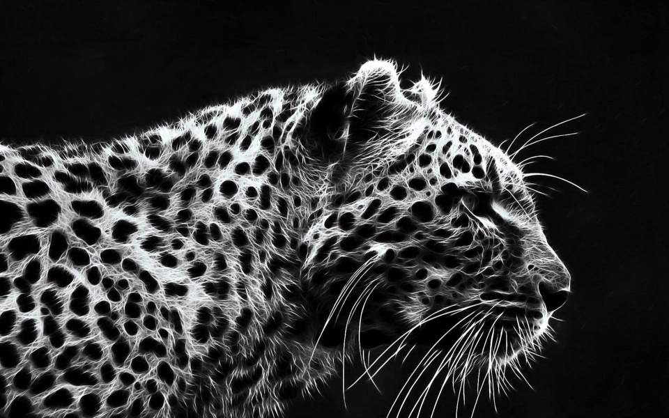 Download Jaguar Wallpaper Animal HD 4K 2020 iPhone Pics wallpaper
