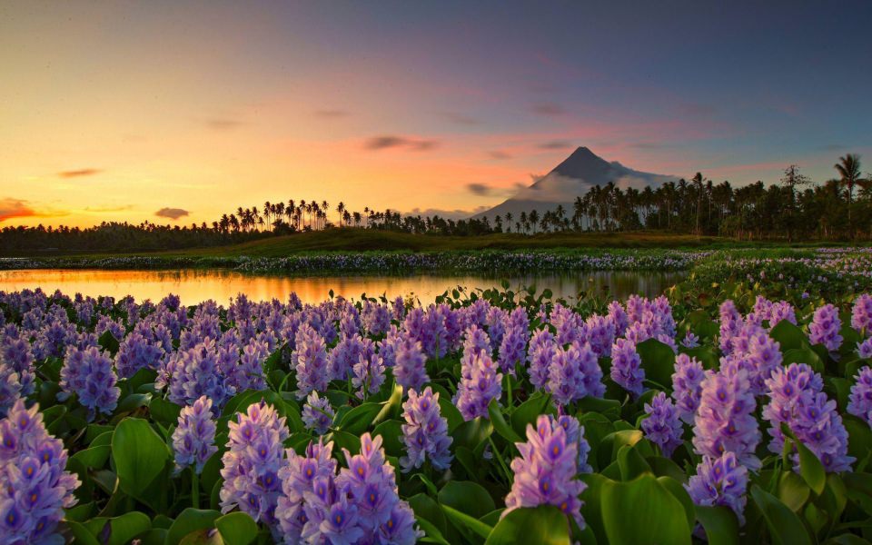 Download Mayon Volcano iPhone Android 4K HD Free Download For Phone Mac Desktop wallpaper