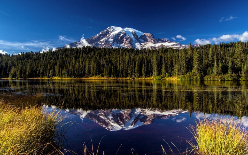 Download Mount Rainier National Park 4K Pictures wallpaper