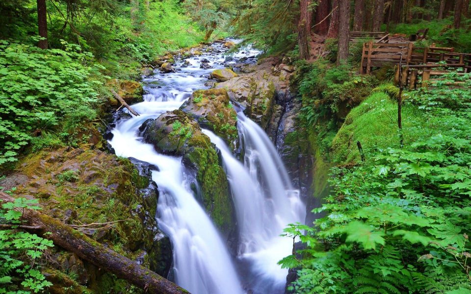 Download Olympic National Park 4K 2020 iPhone Phone wallpaper