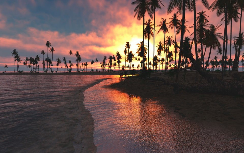 Download Palm Trees Sunset Sea HD Nature 4k wallpaper
