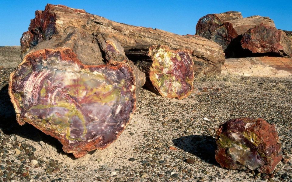 Download Petrified Forest National Park 4K HD wallpaper