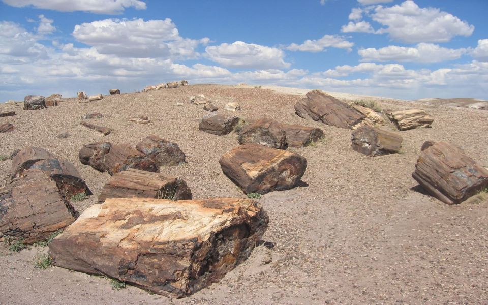 Download Petrified Forest National Park HD Wallpapers 1920x1080 Download wallpaper