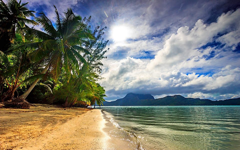 Download Polynesia 4K Mobile 2020 1080p wallpaper