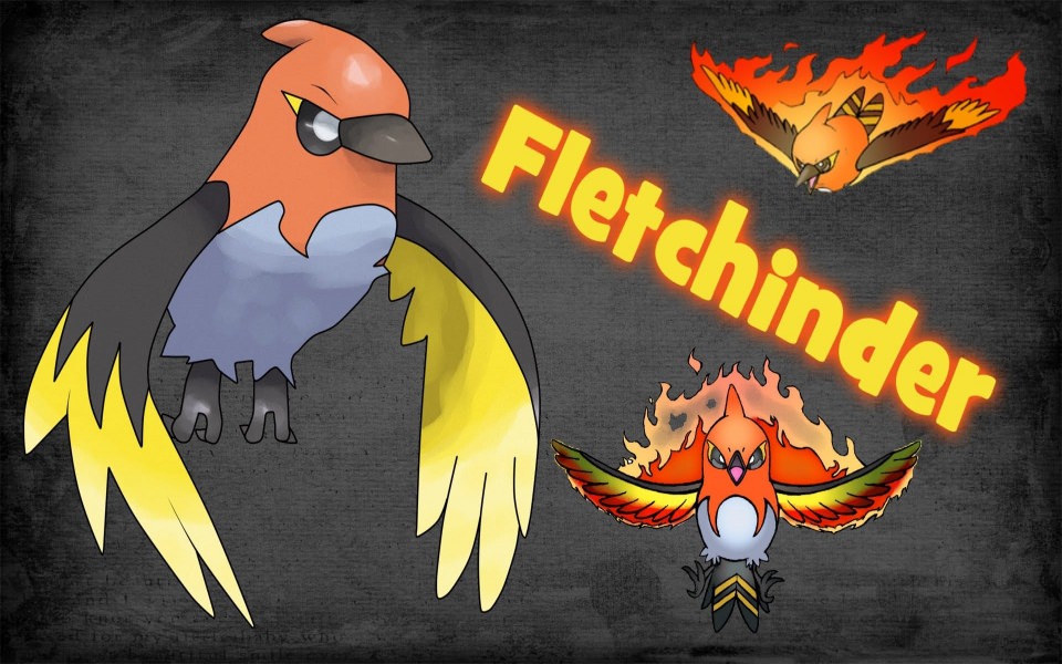 Download Special Defensive Fletchinder Pokemon Showdown HD 4K wallpaper
