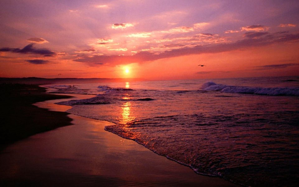 Download Sunset Beach HD 4K iPhone Mobile Phone wallpaper