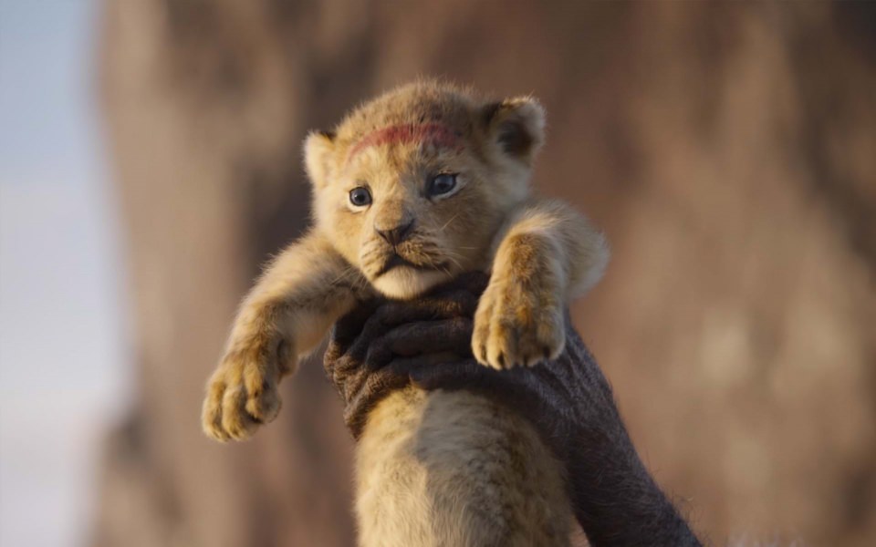 Download The Lion King HD Wallpapers 1920x1080 Download wallpaper