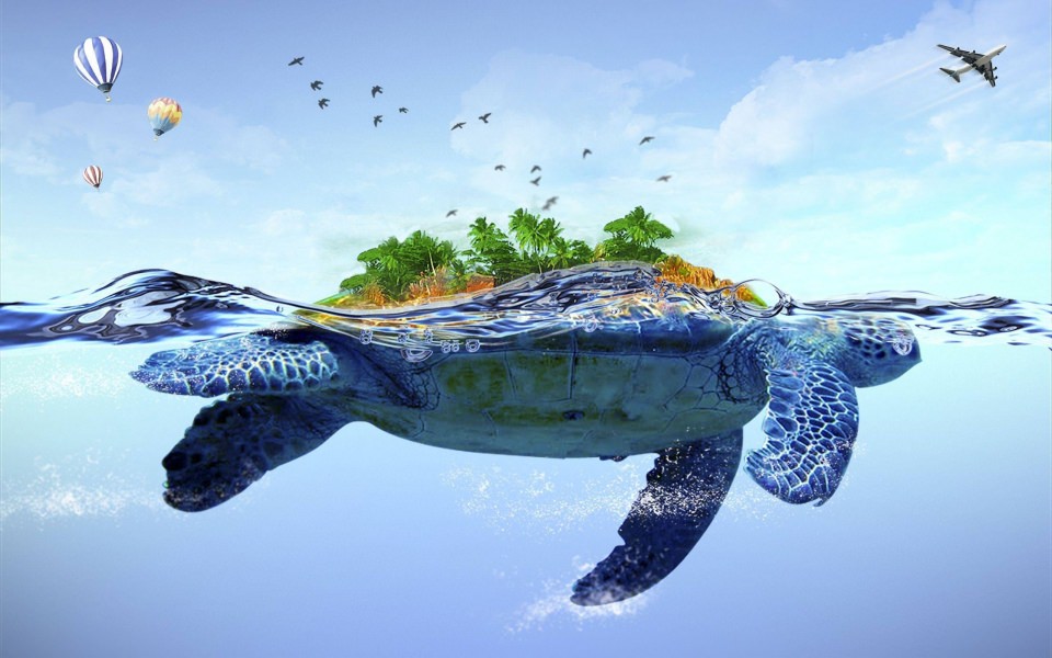 Download Turtle iPhone Full HD 5K 2560x1440 Download For Mobile PC wallpaper
