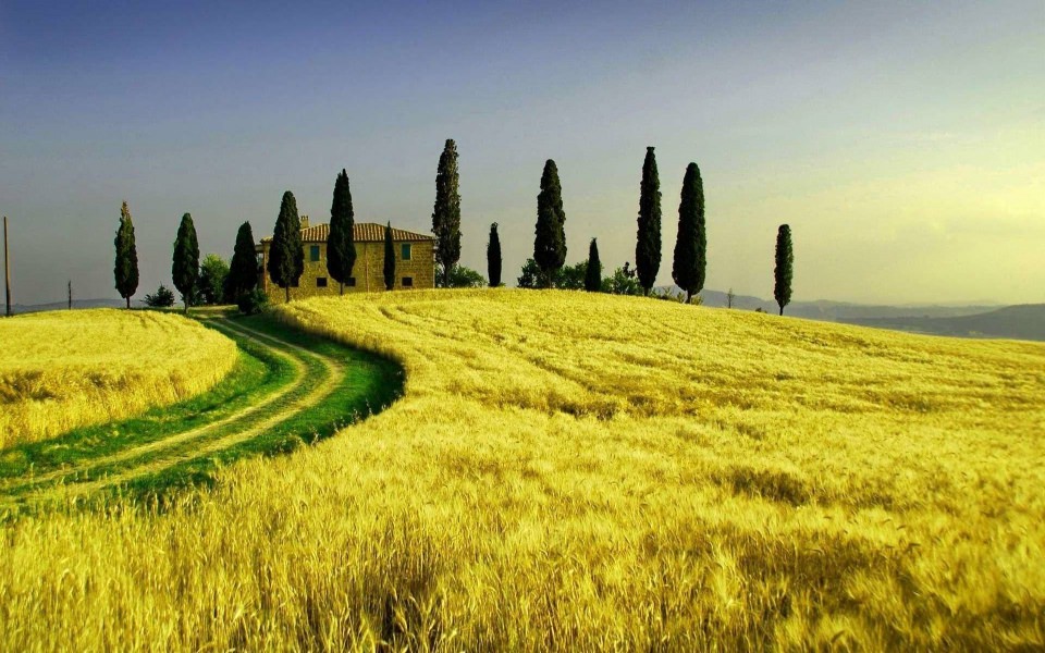 Download Tuscan Countryside 4K Mobile 2020 1080p wallpaper