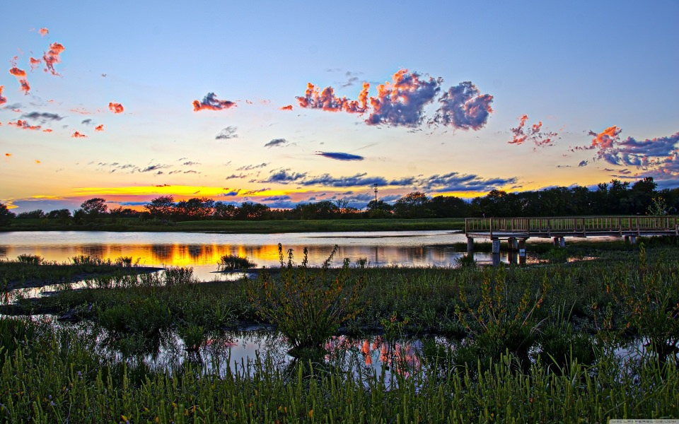 Download Wetlands Lawrence Kansas 4K HD wallpaper