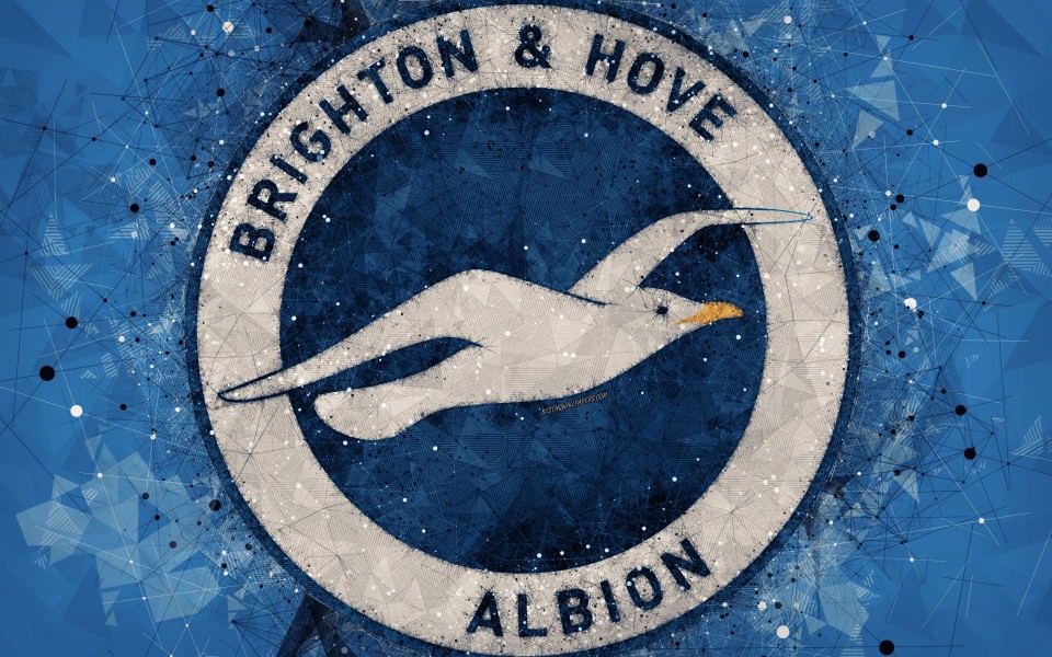Download Brighton And Hove Albion 1080p iPhone Download 5K Ultra HD 2020 wallpaper