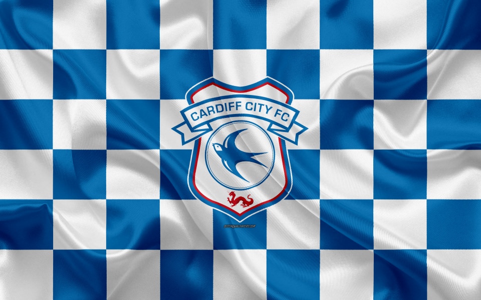 Download Cardiff City Fc 4K Full HD For iPhone Mobile wallpaper
