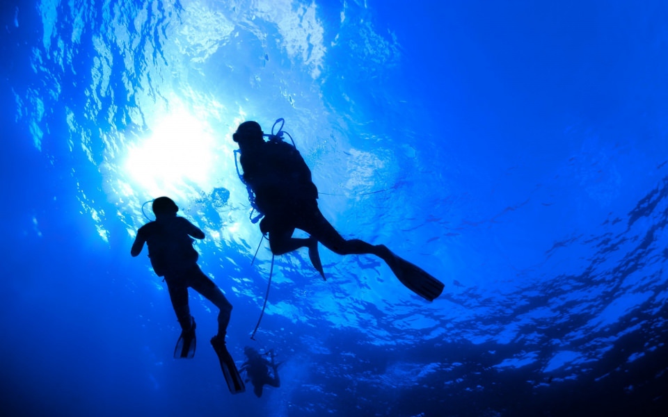 Download Diving 4K HD Wallpaper Photo Gallery wallpaper