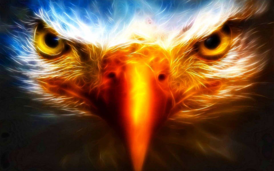 Download Eagles Desktop Backgrounds HD Wallpaper Free To Download For iPhone Mobile wallpaper