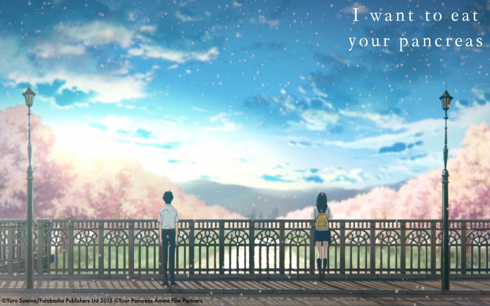 Download I Want To Eat Your Pancreas 1920x1080 4K HD For iPhone Android wallpaper