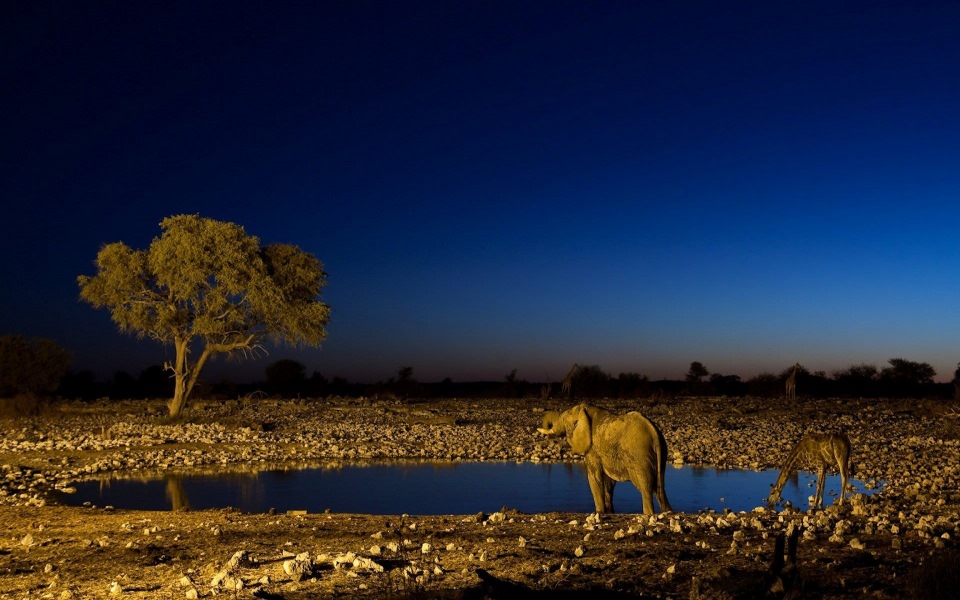 Download Namibia Night Images 2560x1440 Free Download In 5K HD wallpaper