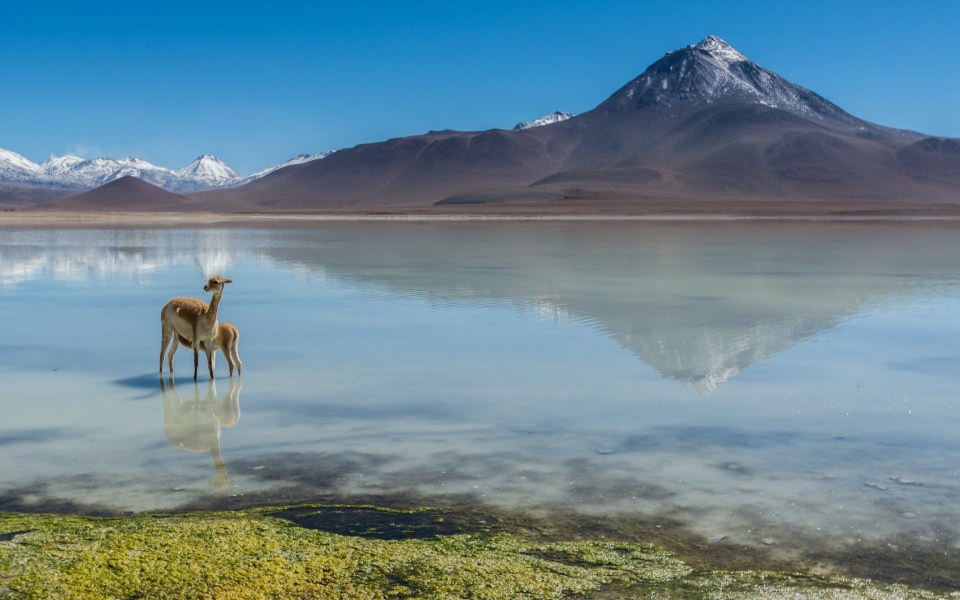 Download Observatory Atacama Desert 4K Full HD For iPhone Mobile wallpaper