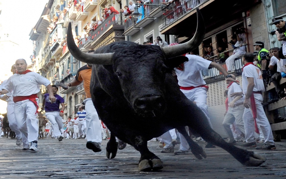 Download Running Of The Bulls 6K Pictures Free Download wallpaper