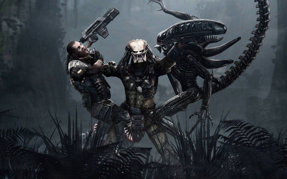 Download Alien Vs Predator 4K 5K 8K HD Display Pictures Backgrounds Images wallpaper