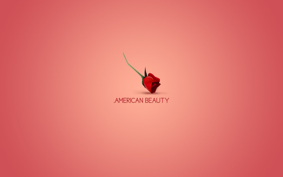 Download American Beauty iPhone Images In 4K Download wallpaper
