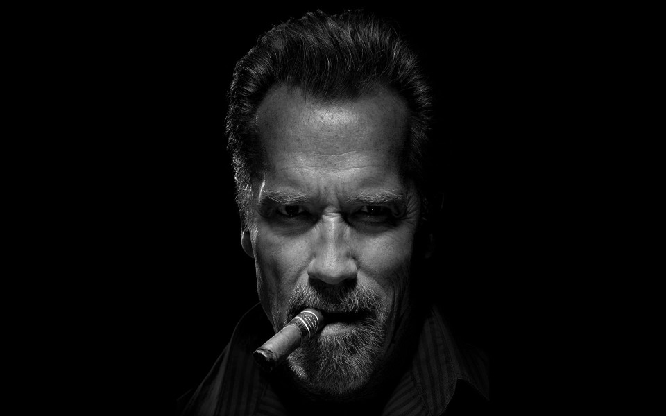 Download Arnold Schwarzenegger Free Wallpapers HD Display Pictures Backgrounds Images wallpaper