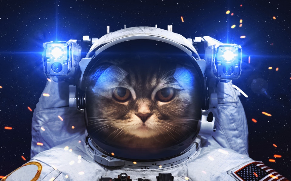 Download Astronaut 4K 5K 8K HD Display Pictures Backgrounds Images wallpaper