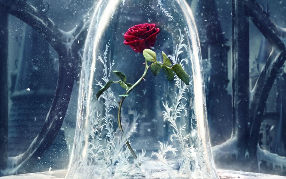 Download Beauty And The Beast HD Wallpapers for Mobile wallpaper