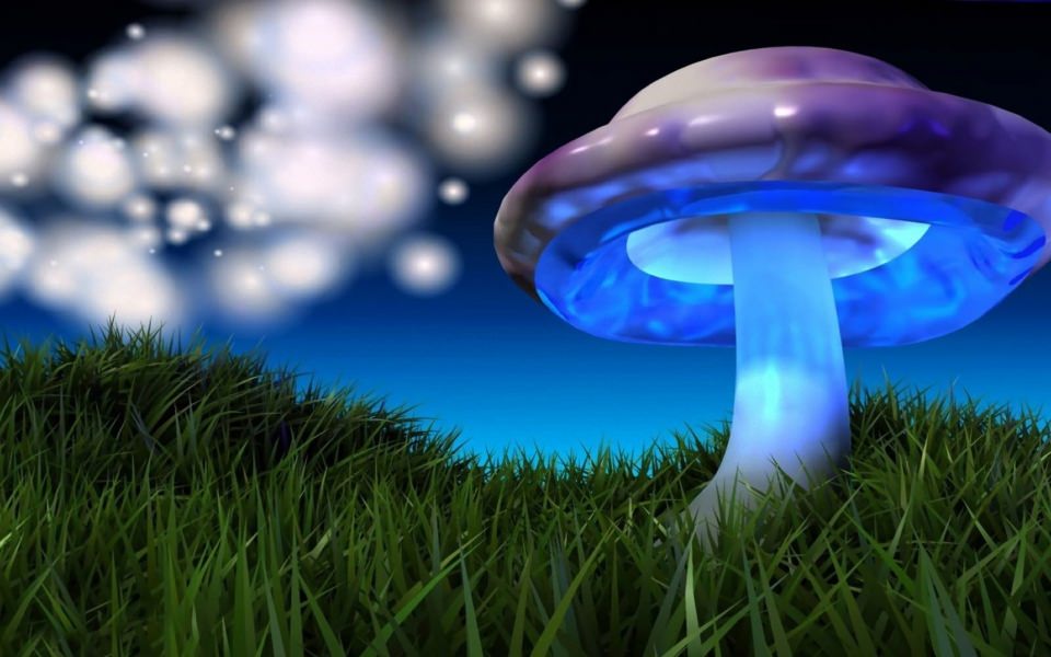Download Blue Mushrooms Widescreen Best Live Download wallpaper