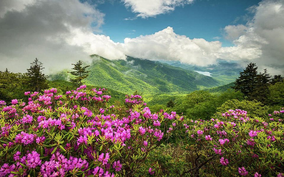 Download Blue Ridge Parkway 4K Ultra HD Wallpapers For Android wallpaper