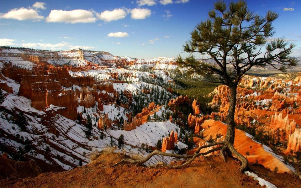 Download Bryce Canyon National Park Ultra HD Background Photos iPhone 11 wallpaper