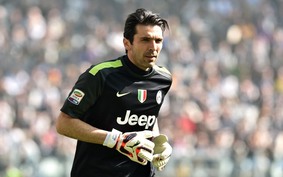 Download Buffon Free HD Display Pictures Backgrounds Images wallpaper