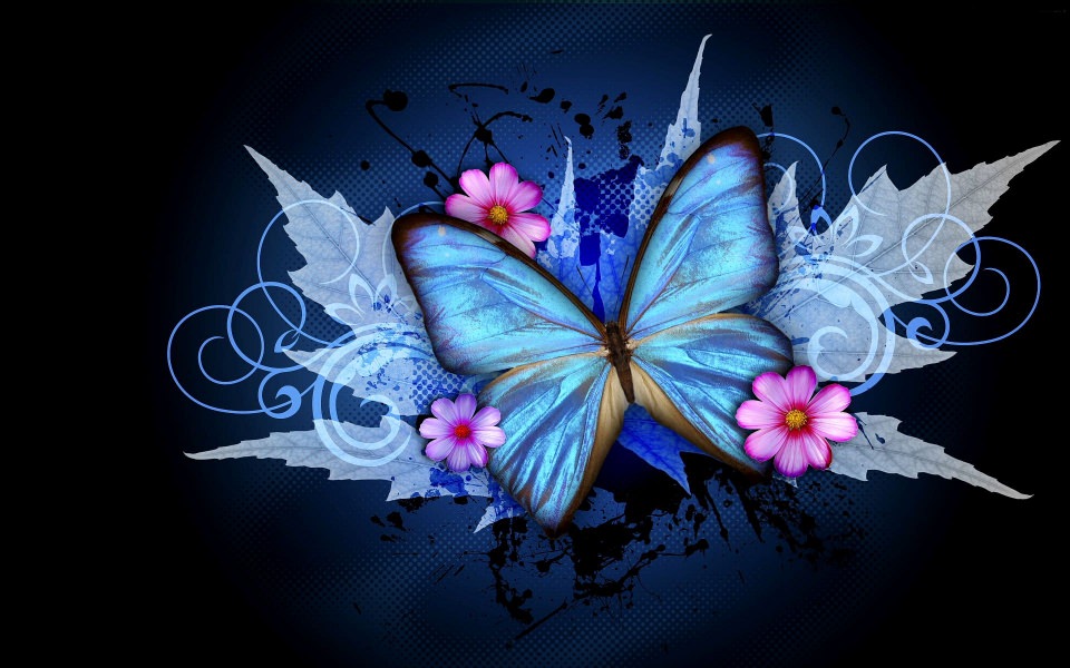 Download Butterflies 4K Backgrounds For Desktop And Mobile wallpaper