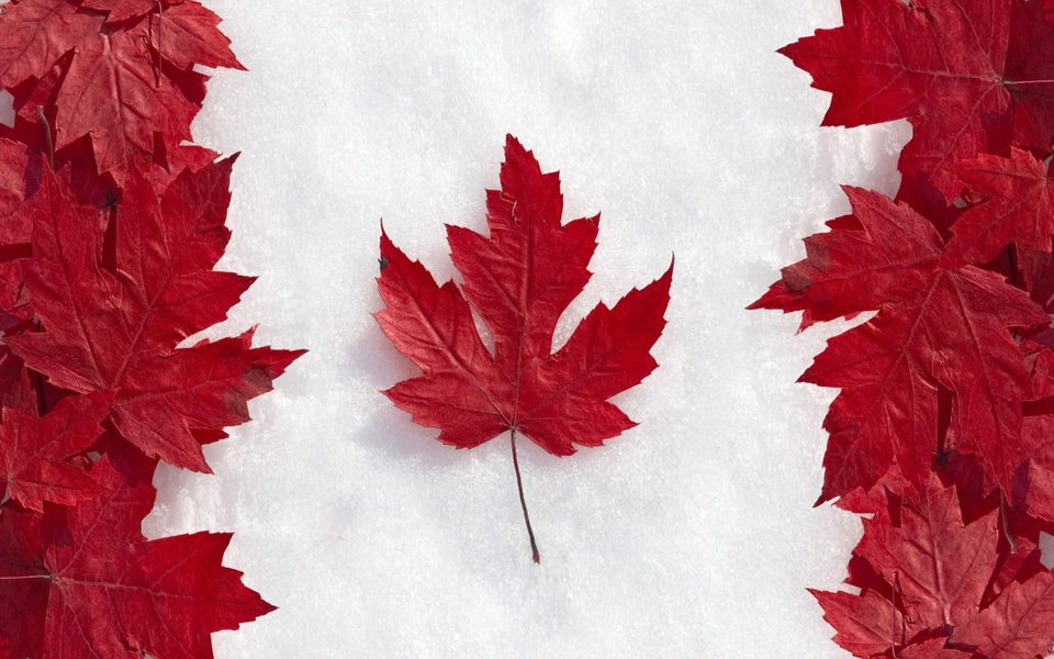 Download Canada 4K 5K 8K HD Display Pictures Backgrounds Images wallpaper