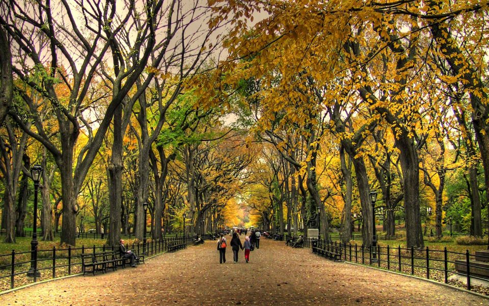Download Central Park 5K Ultra Full HD 1080p 2020 wallpaper