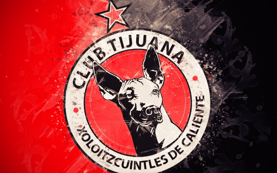 Download Club Tijuana HD Wallpaper for Mobile 2560x1440 wallpaper