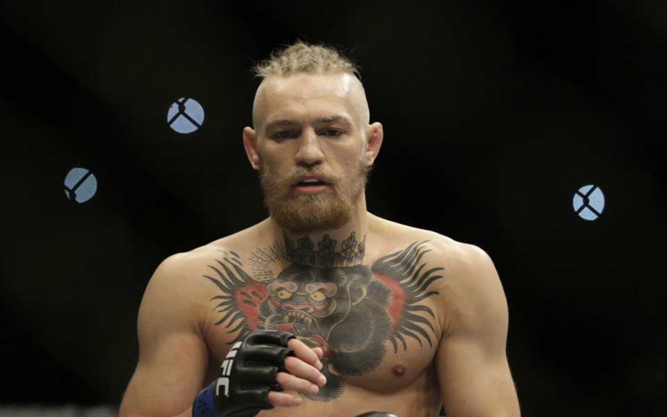 Download Conor Mcgregor 4K 8K 2560x1440 Free Ultra HD Pictures Backgrounds Images wallpaper